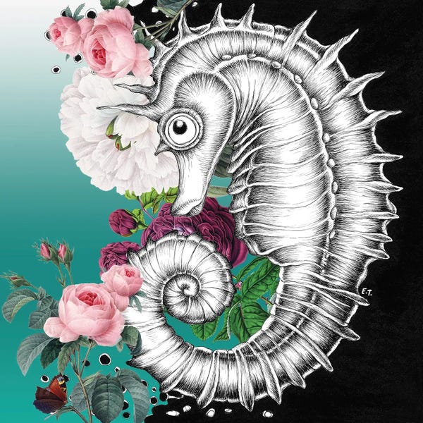 Seven Sirens Studios: Seahorse Aqua Roses Teal Ink by Seven Sirens Studios