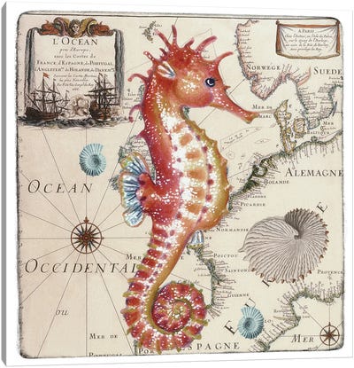 Red Seahorse Vintage Nautical Map Canvas Art Print - Seahorse Art