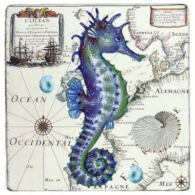 Blue Seahorse Vintage Nautical Map by Seven Sirens Studios gallery poster