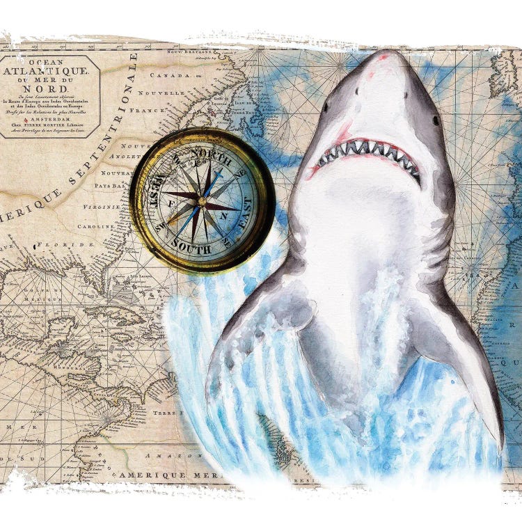 Great White Shark Compass Nautical Map