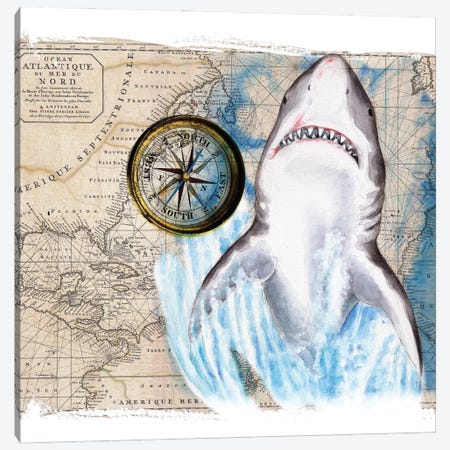 Great White Shark Compass Nautical Map Canvas Print #SSI116} by Seven Sirens Studios Art Print