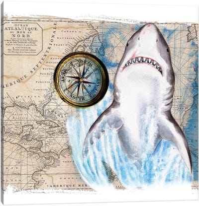 Great White Shark Compass Nautical Map Canvas Art Print - Shark Art