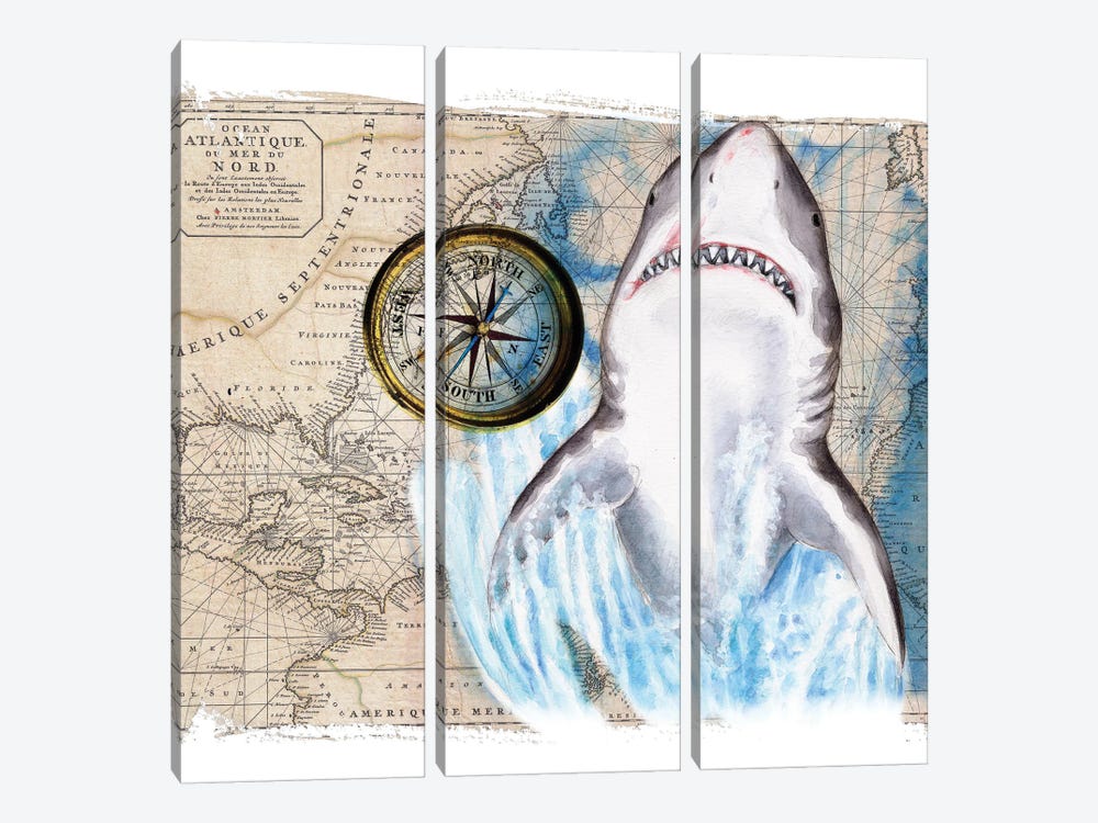 Great White Shark Compass Nautical Map by Seven Sirens Studios 3-piece Canvas Wall Art