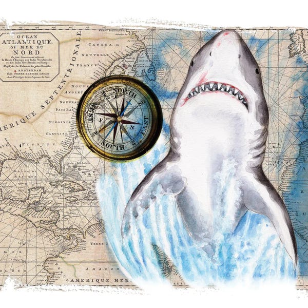 Seven Sirens Studios: Great White Shark Compass Nautical Map by Seven Sirens Studios