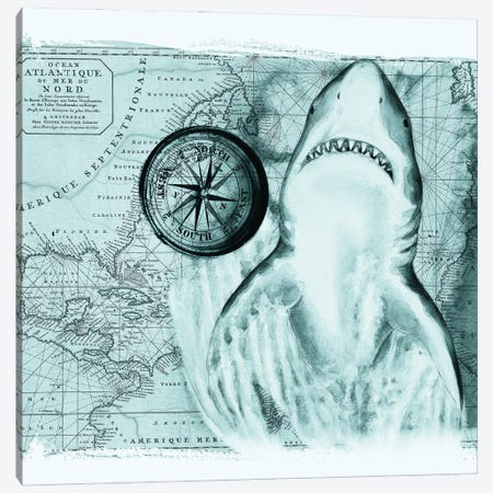 Great White Shark Compass Nautical Map Teal Canvas Print #SSI117} by Seven Sirens Studios Canvas Print