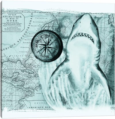 Great White Shark Compass Nautical Map Teal Canvas Art Print - Nautical Maps
