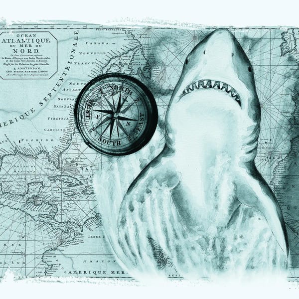 Seven Sirens Studios: Great White Shark Compass Nautical Map Teal by Seven Sirens Studios