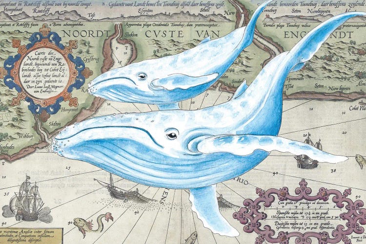Blue Whales Old Map by Seven Sirens Studios wall art
