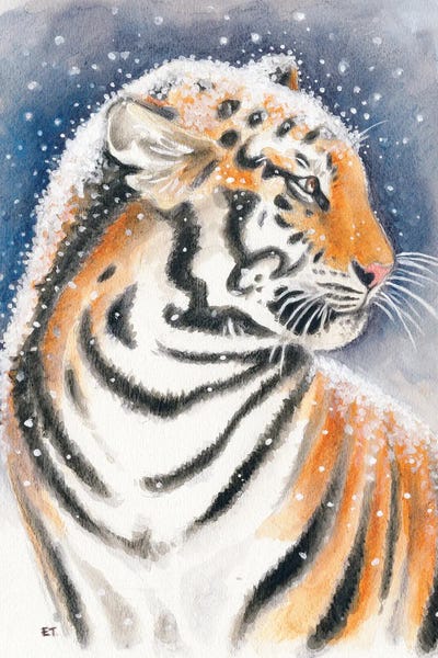 Tiger In The Snow Watercolor Art by Seven Sirens Studios framed canvas print