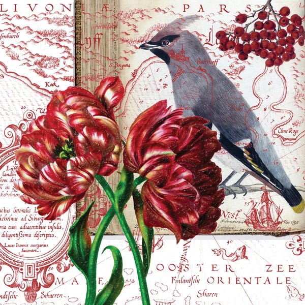Seven Sirens Studios: Tulips And The Bird Bohemian Vintage by Seven Sirens Studios