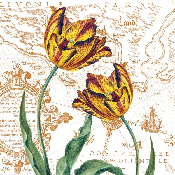 Vintage & Retro: Parrot Tulips Vintage Shabby Chic White by Seven Sirens Studios