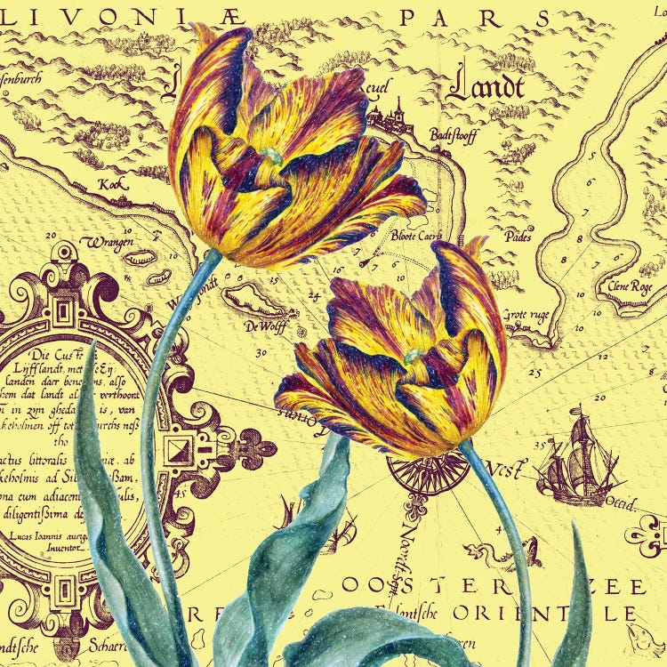 Parrot Tulips Vintage Shabby Chic Yellow