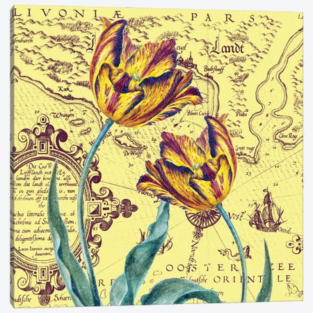 Parrot Tulips Vintage Shabby Chic Yellow Canvas Print #SSI131} by Seven Sirens Studios Canvas Art