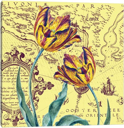 Parrot Tulips Vintage Shabby Chic Yellow Canvas Art Print - Nautical Maps