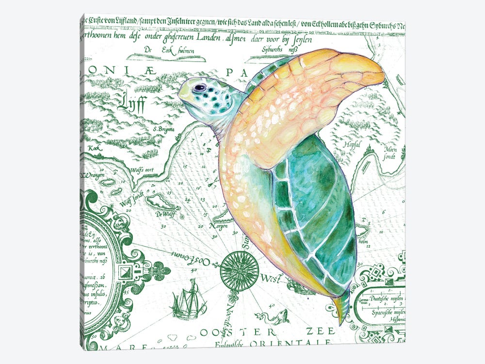 Green Sea Turtle Vintage Map White by Seven Sirens Studios 1-piece Canvas Artwork