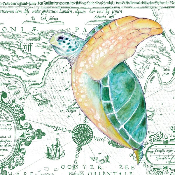 Vintage & Retro: Green Sea Turtle Vintage Map White by Seven Sirens Studios