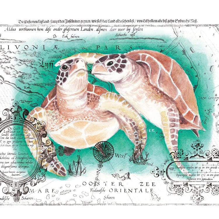 Sea Turtles Love Vintage Map Teal