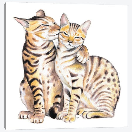 Bengal Cats Love Watercolor Art Canvas Print #SSI135} by Seven Sirens Studios Canvas Art Print