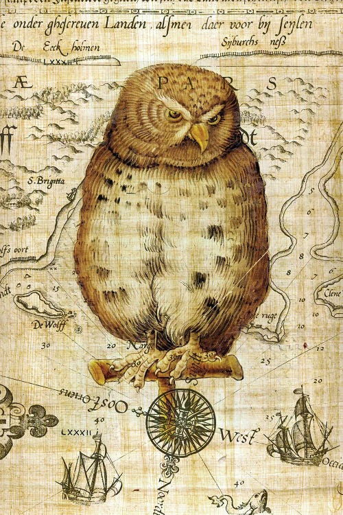 Vintage Owl Papyrus Nautical