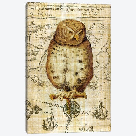 Vintage Owl Papyrus Nautical Canvas Print #SSI139} by Seven Sirens Studios Canvas Artwork