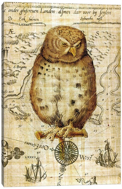 Vintage Owl Papyrus Nautical Canvas Art Print - Vintage Maps