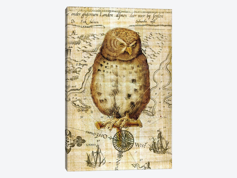 Vintage Owl Papyrus Nautical by Seven Sirens Studios 1-piece Canvas Print