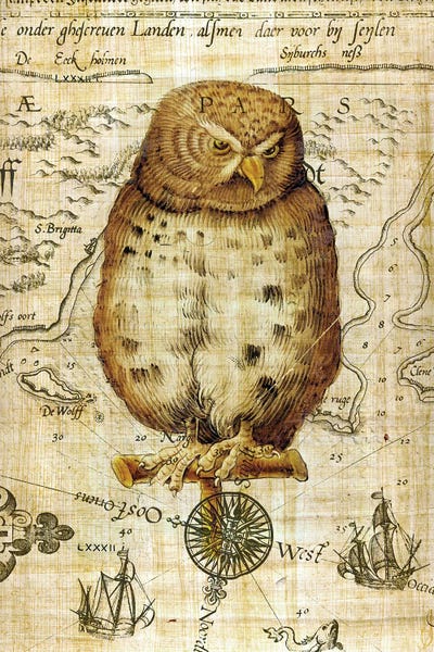 Seven Sirens Studios: Vintage Owl Papyrus Nautical by Seven Sirens Studios