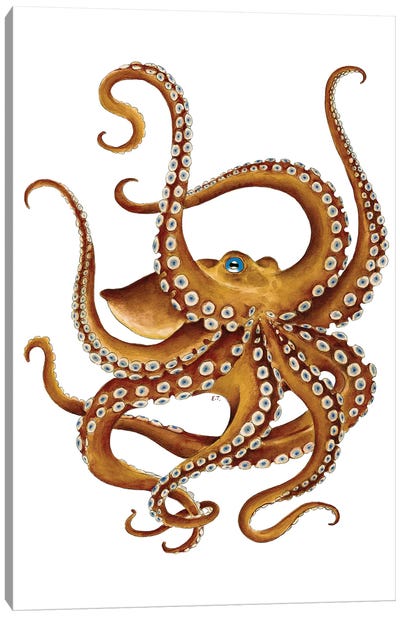 Brown Octopus Blue Eye Watercolor Canvas Art Print - Seven Sirens Studios