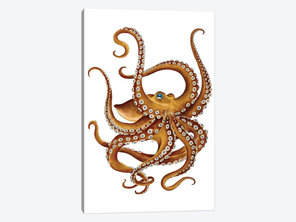 Brown Octopus Blue Eye Watercolor by Seven Sirens Studios 1-piece Canvas Art