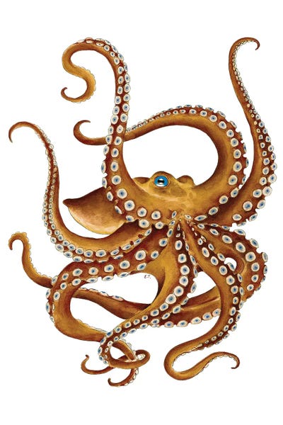 Octopi: Brown Octopus Blue Eye Watercolor by Seven Sirens Studios