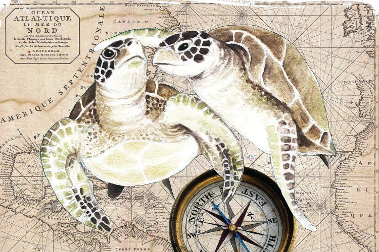 Sea Turtles Love Vintage Map Compass