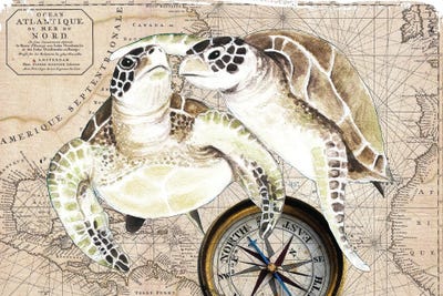 Nautical Maps