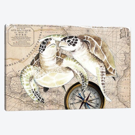 Sea Turtles Love Vintage Map Compass Canvas Print #SSI140} by Seven Sirens Studios Canvas Print