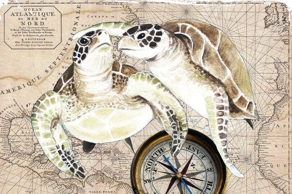 Nautical Maps
