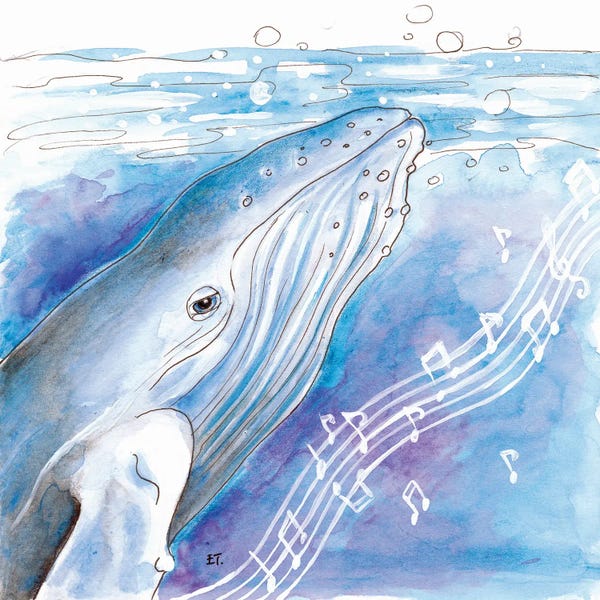 Seven Sirens Studios: Blue Whale Song Watercolor Art by Seven Sirens Studios