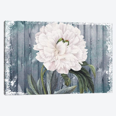 White Peony Vintage Grey Wood Chic Canvas Print #SSI142} by Seven Sirens Studios Canvas Art Print