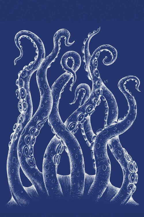 White Tentacles Octopus Blue Ink by Seven Sirens Studios wall art