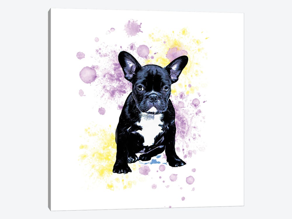 Boston Terrier Purple Yellow Splash by Seven Sirens Studios 1-piece Canvas Print