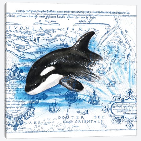 Breaching Baby Orca Vintage Map Canvas Print #SSI149} by Seven Sirens Studios Canvas Print