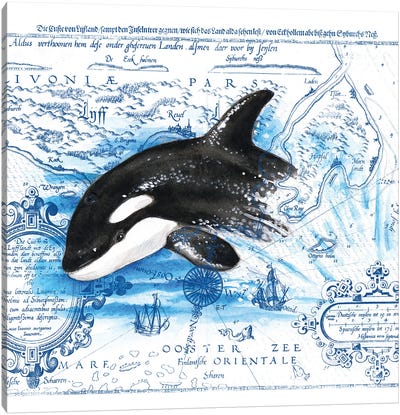 Breaching Baby Orca Vintage Map Canvas Art Print - Orca Whale Art