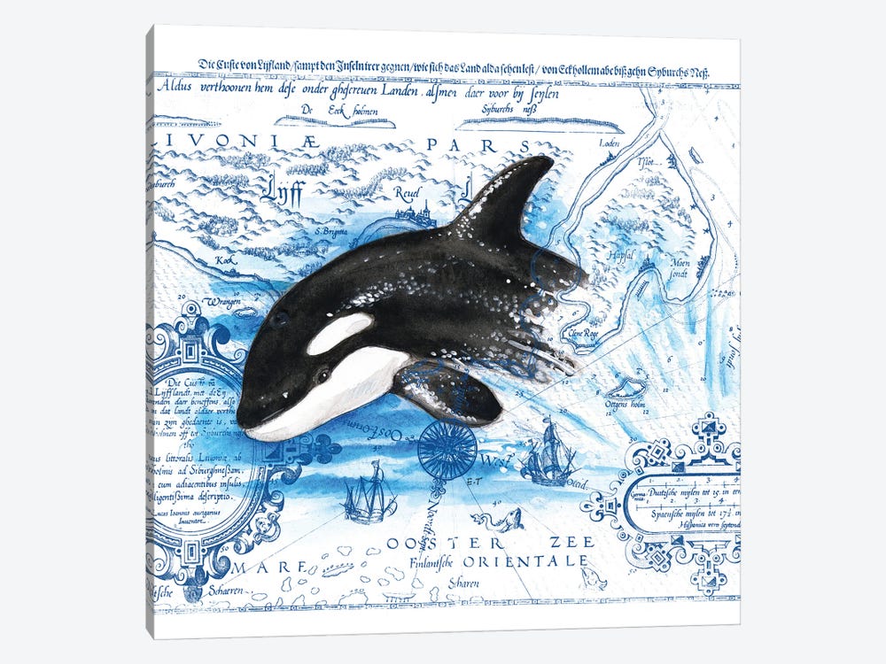 Breaching Baby Orca Vintage Map by Seven Sirens Studios 1-piece Canvas Wall Art