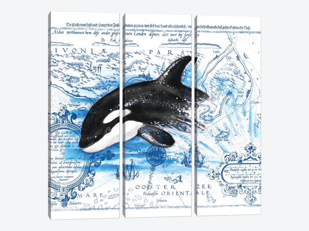 Breaching Baby Orca Vintage Map by Seven Sirens Studios 3-piece Canvas Wall Art
