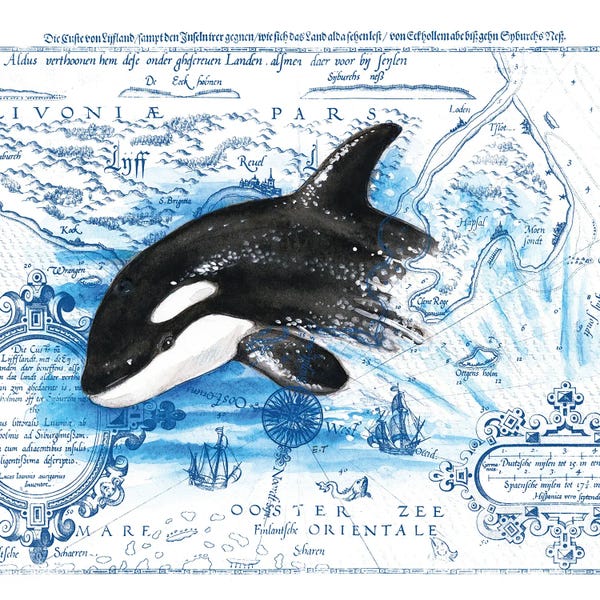 Kids Map Art: Breaching Baby Orca Vintage Map by Seven Sirens Studios