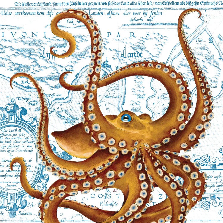 Brown Octopus Blue Eye Vintage Map