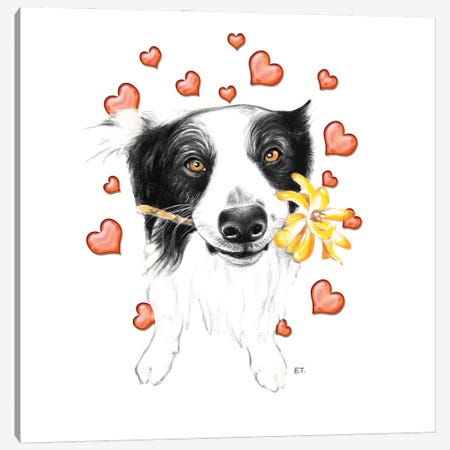 Border Collie And Hearts Canvas Print #SSI151} by Seven Sirens Studios Canvas Wall Art