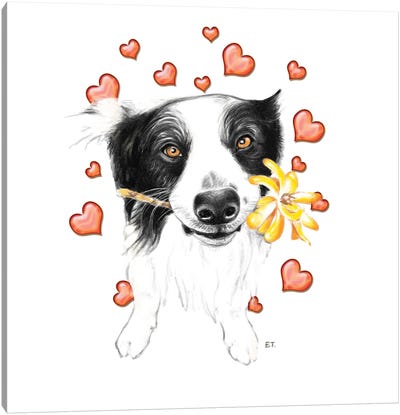 Border Collie And Hearts Canvas Art Print - Border Collies