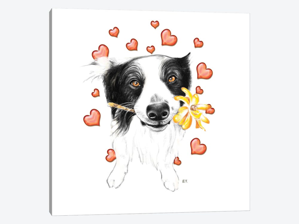 Border Collie And Hearts by Seven Sirens Studios 1-piece Canvas Print