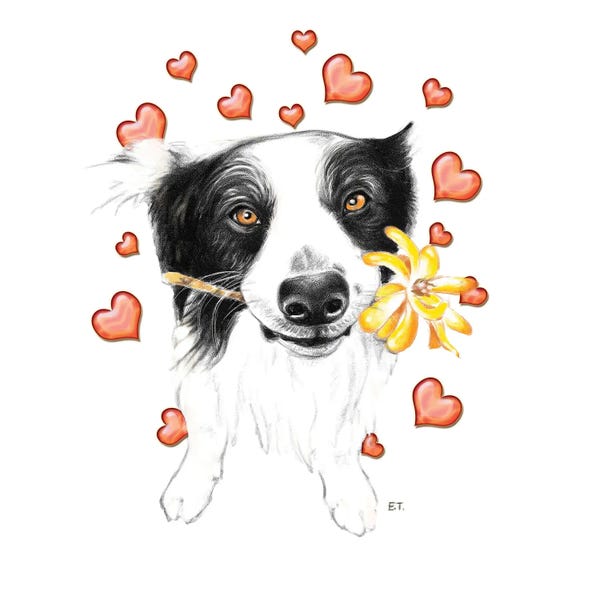 Seven Sirens Studios: Border Collie And Hearts by Seven Sirens Studios