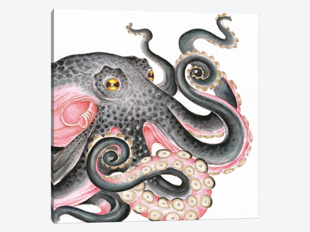 Grey Salmon Pink Octopus Watercolor by Seven Sirens Studios 1-piece Canvas Wall Art
