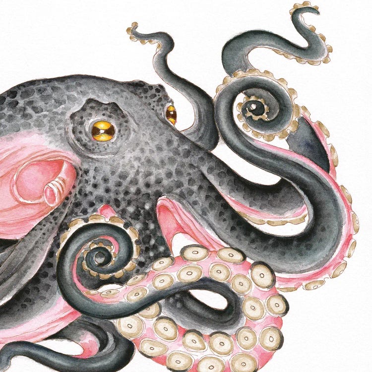 Grey Salmon Pink Octopus Watercolor